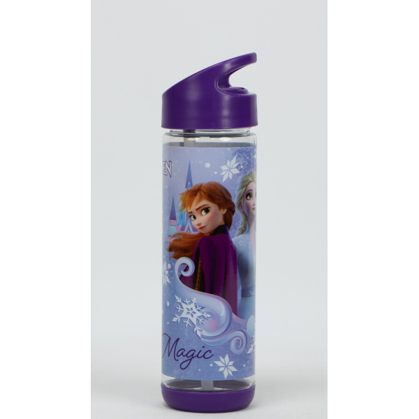 Water Bottle DFO 500ML