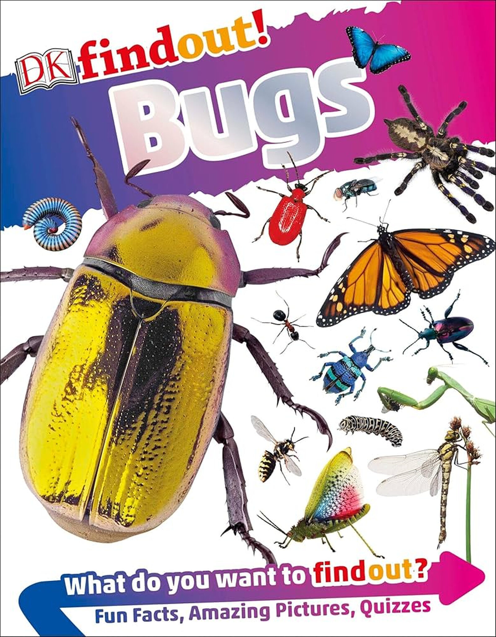 bugs